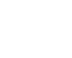 Tourists Paradise Tourists Paradise Logo