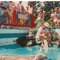 Fairy-penguin-feeding-at-King-Neptune’s-Park-c1980