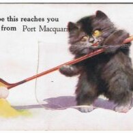 Postcard-Hope-this-reaches-you-from-Port-Macquarie--1930s